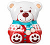 Winter Teddy- Money Box